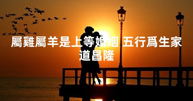 屬雞屬羊是上等婚姻 五行爲生家道昌隆